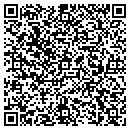 QR code with Cochran Cemetery Inc contacts
