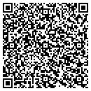 QR code with Clean Stream Car Wash contacts