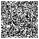 QR code with Clintondale Fencing contacts