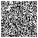 QR code with Protection 1 contacts
