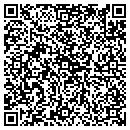 QR code with Pricing Dynamics contacts