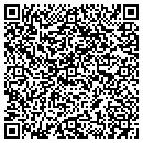 QR code with Blarney Painting contacts
