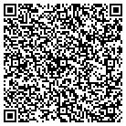 QR code with Brians Pro Painting contacts