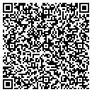 QR code with York Macewan contacts