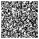 QR code with Castellini & Sons contacts