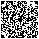 QR code with Professional Carpet & Vinyal Installation contacts