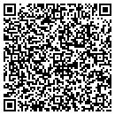 QR code with Blue Sky Washes 2 Inc contacts