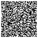 QR code with Barnstormers contacts