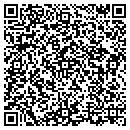 QR code with Carey Endeavors Inc contacts