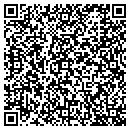 QR code with Cerulean Dental Spa contacts
