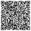 QR code with Pyramid Builders L L C contacts