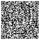 QR code with Brians Total Yard Care contacts
