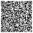 QR code with Primitive Access Inc contacts
