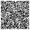 QR code with Chestnut Consulting contacts