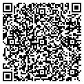 QR code with Amplify contacts