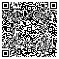 QR code with Cytel contacts