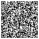 QR code with Bluebird Auto Sales contacts