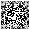 QR code with N G I Technology LLC contacts