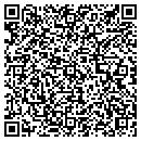 QR code with Primerica Ins contacts