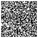 QR code with Public School 163 contacts