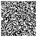QR code with Cyber Systems Inc contacts