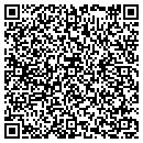 QR code with Pt Works LLC contacts