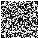 QR code with Precision It Group LLC contacts