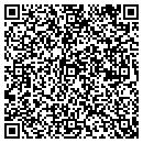 QR code with Prudent Financial LLC contacts