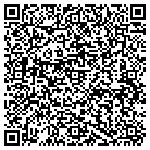 QR code with Plumbing Services Inc contacts