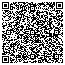 QR code with Primeitsolution Inc contacts