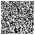 QR code with Tutor contacts