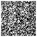 QR code with Pulsar Electric LLC contacts