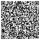 QR code with Blue Ribbon Electrical Inc contacts