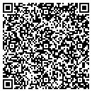 QR code with Production Electric contacts