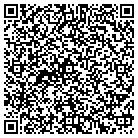 QR code with Professional Electric Inc contacts