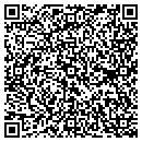 QR code with Cook Primary School contacts