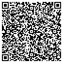 QR code with Coseo Plumbing Inc contacts