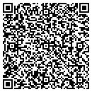QR code with Christine A Cook Lcsw contacts