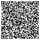 QR code with Cairo Energy Service contacts