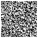QR code with Premier Bh Inc contacts