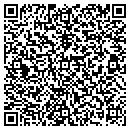 QR code with Bluelight Productions contacts