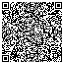 QR code with Ppl Solutions contacts