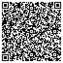 QR code with Ppl Holtwood LLC contacts
