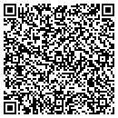 QR code with Boreas Geophysical contacts