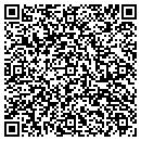 QR code with Carey's Discount Oil contacts