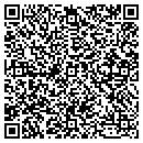 QR code with Central New York Ddso contacts
