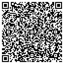 QR code with Borg Anna C CPA contacts
