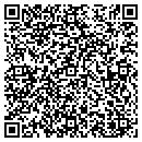 QR code with Premier Mortgage LLC contacts