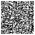 QR code with Nesa contacts