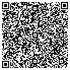 QR code with Publishers Circulatlon Fulfill contacts